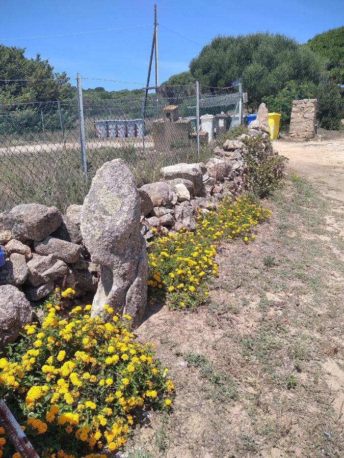 B&B Li Salcuneddi Aglientu Dış mekan fotoğraf